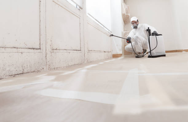 24/7 Emergency Mold Remediation experts in Hermitage, PA